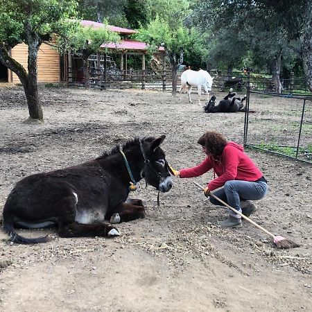 Quinta Do Ragal Βίλα Lavacolhos Εξωτερικό φωτογραφία
