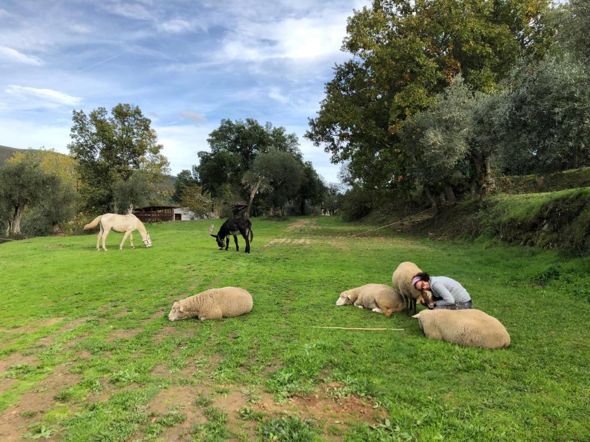 Quinta Do Ragal Βίλα Lavacolhos Εξωτερικό φωτογραφία