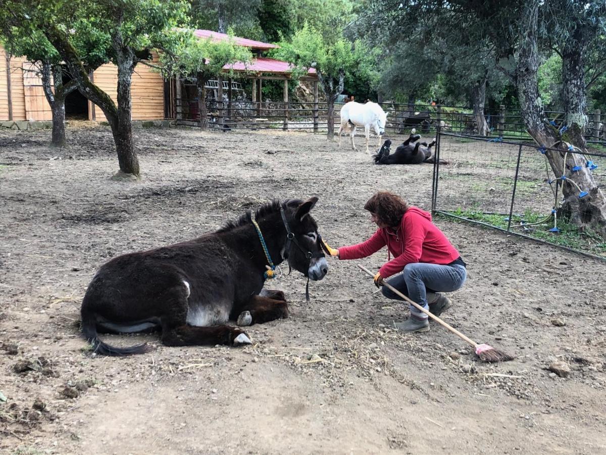 Quinta Do Ragal Βίλα Lavacolhos Εξωτερικό φωτογραφία
