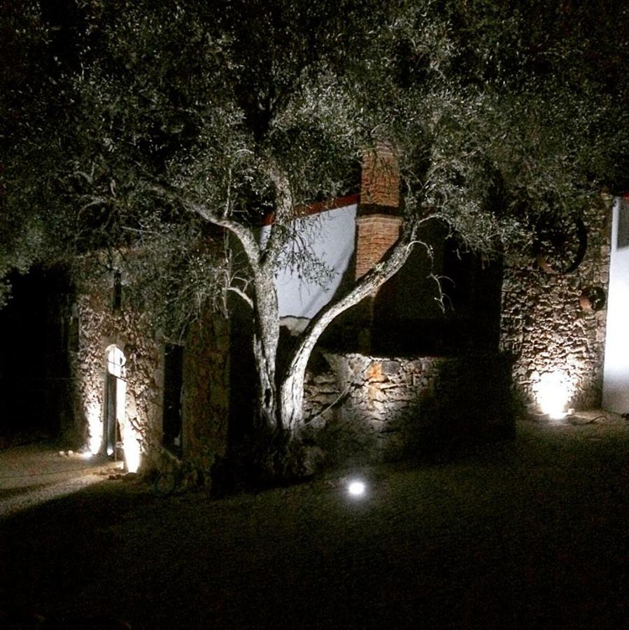 Quinta Do Ragal Βίλα Lavacolhos Εξωτερικό φωτογραφία